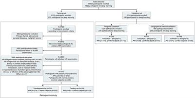 Development and Validation of a Deep Learning Algorithm to Automatic Detection of Pituitary Microadenoma From MRI